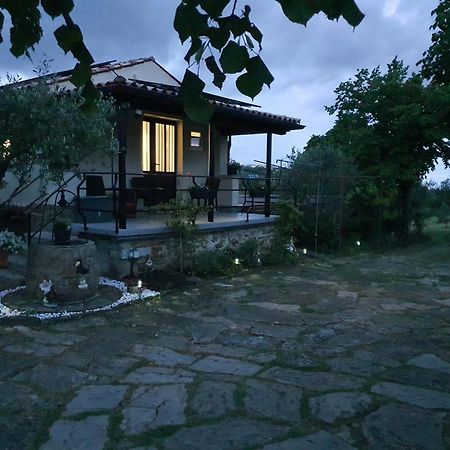 Apartma Vista Baredi Izola Exteriér fotografie