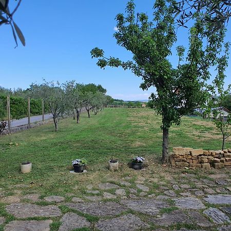 Apartma Vista Baredi Izola Exteriér fotografie