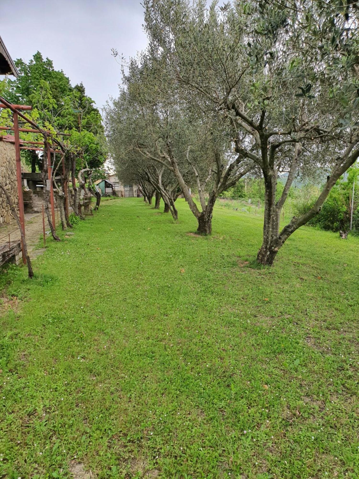 Apartma Vista Baredi Izola Exteriér fotografie