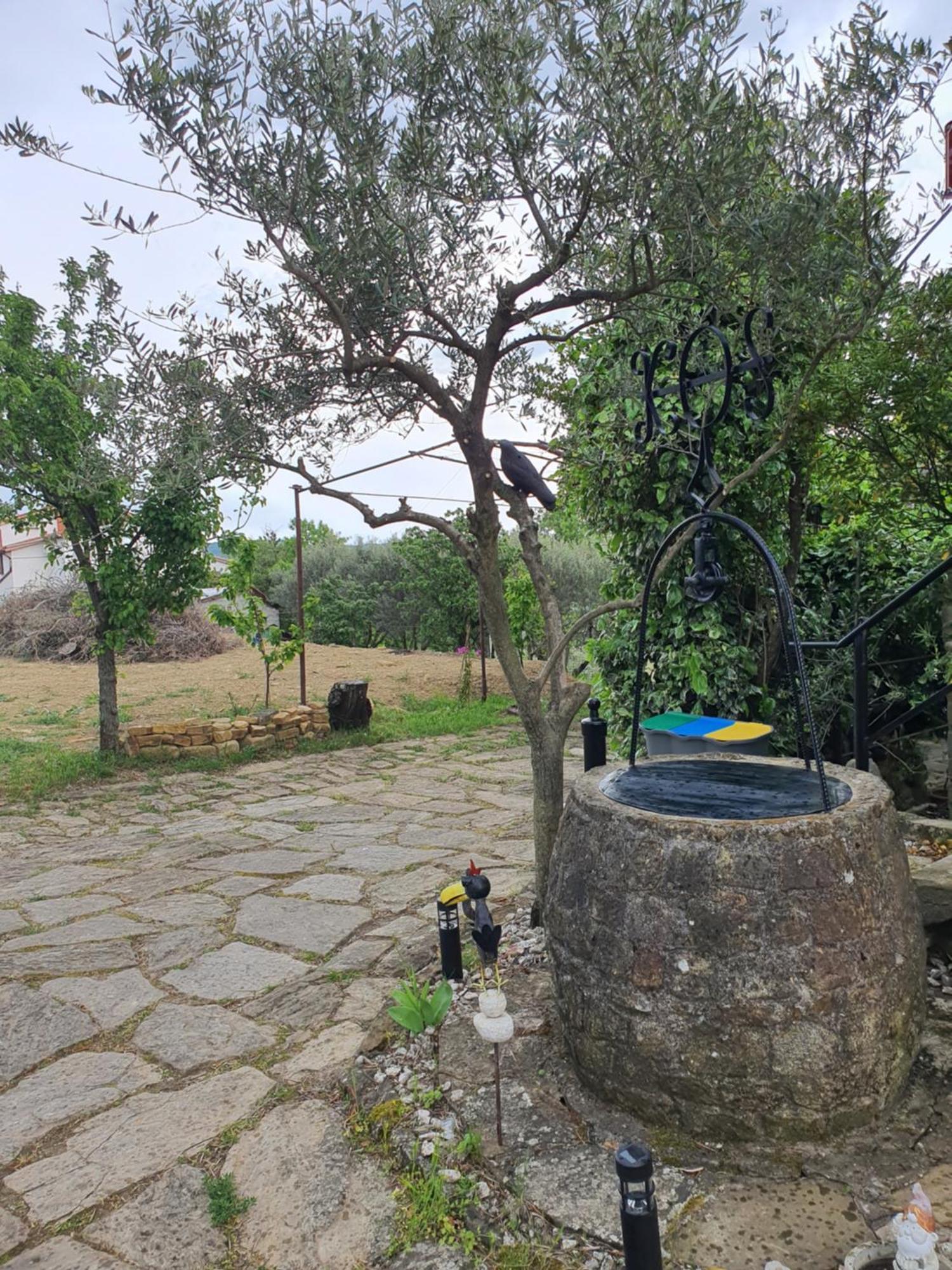 Apartma Vista Baredi Izola Exteriér fotografie