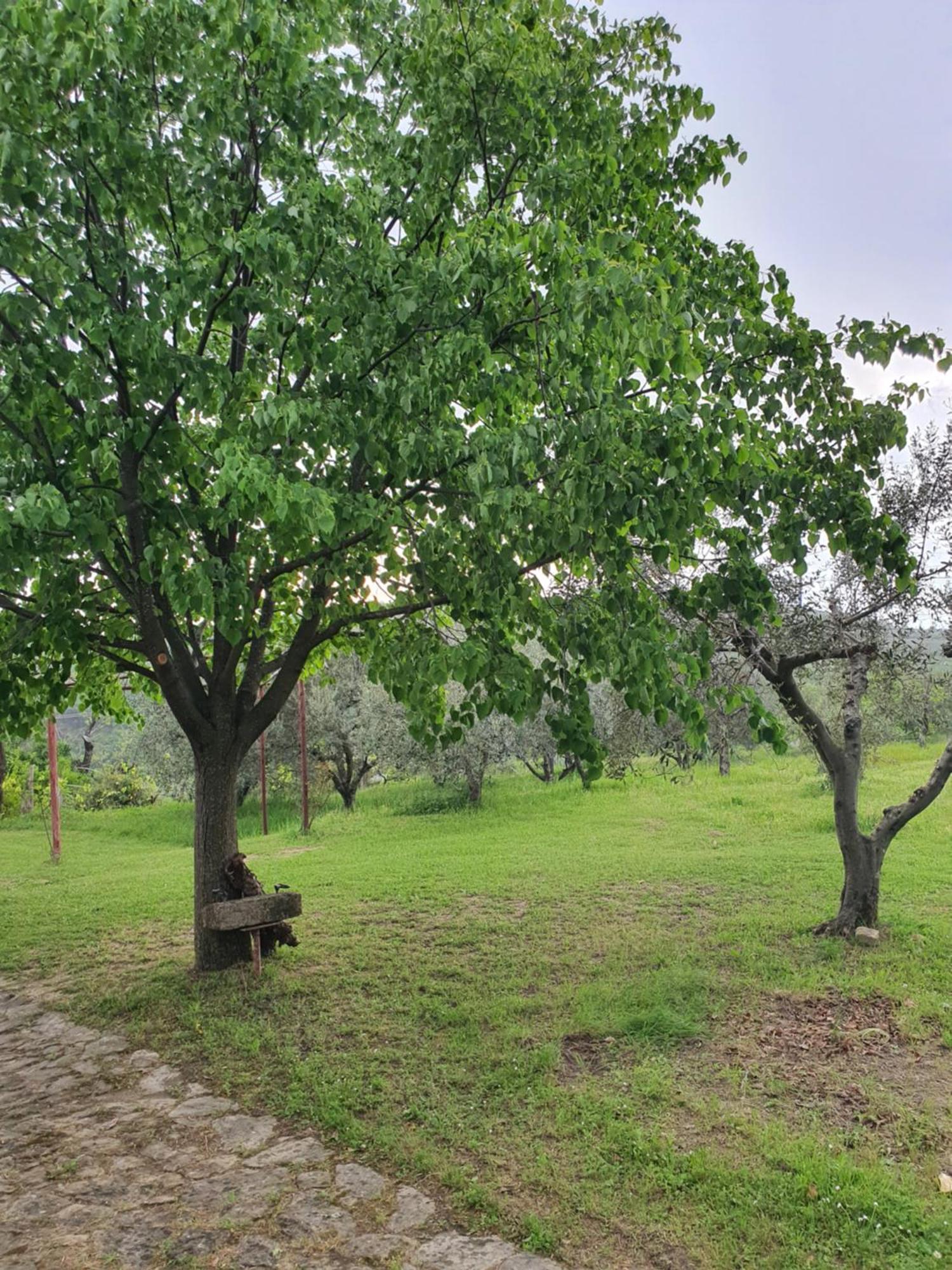 Apartma Vista Baredi Izola Exteriér fotografie