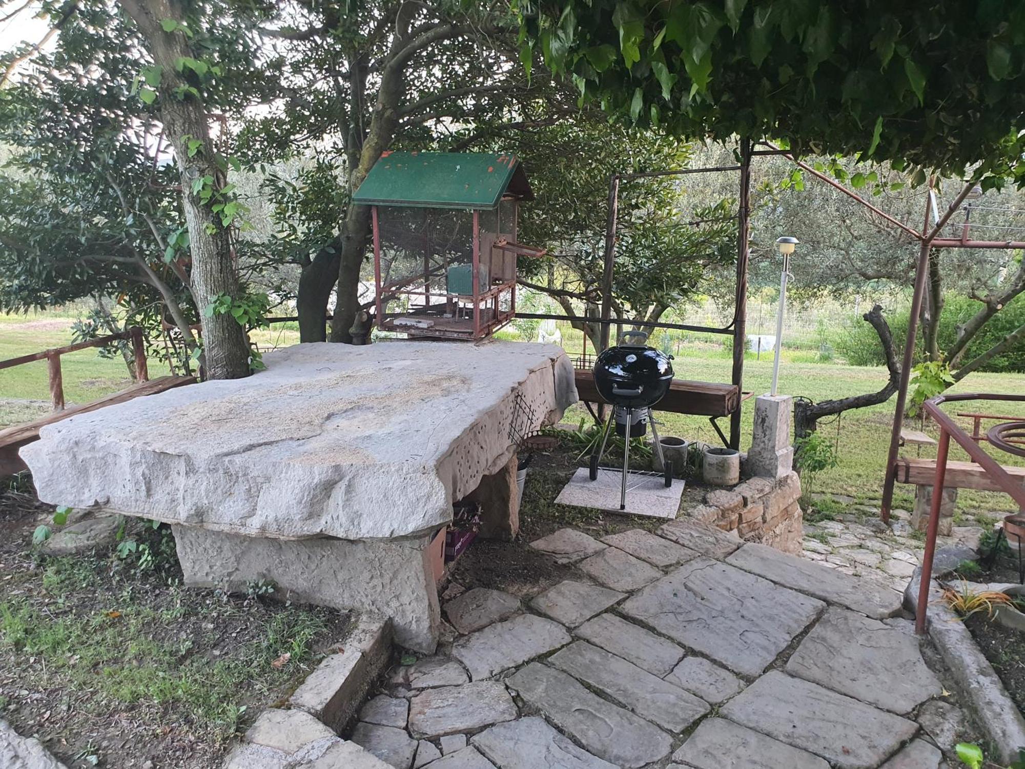 Apartma Vista Baredi Izola Exteriér fotografie