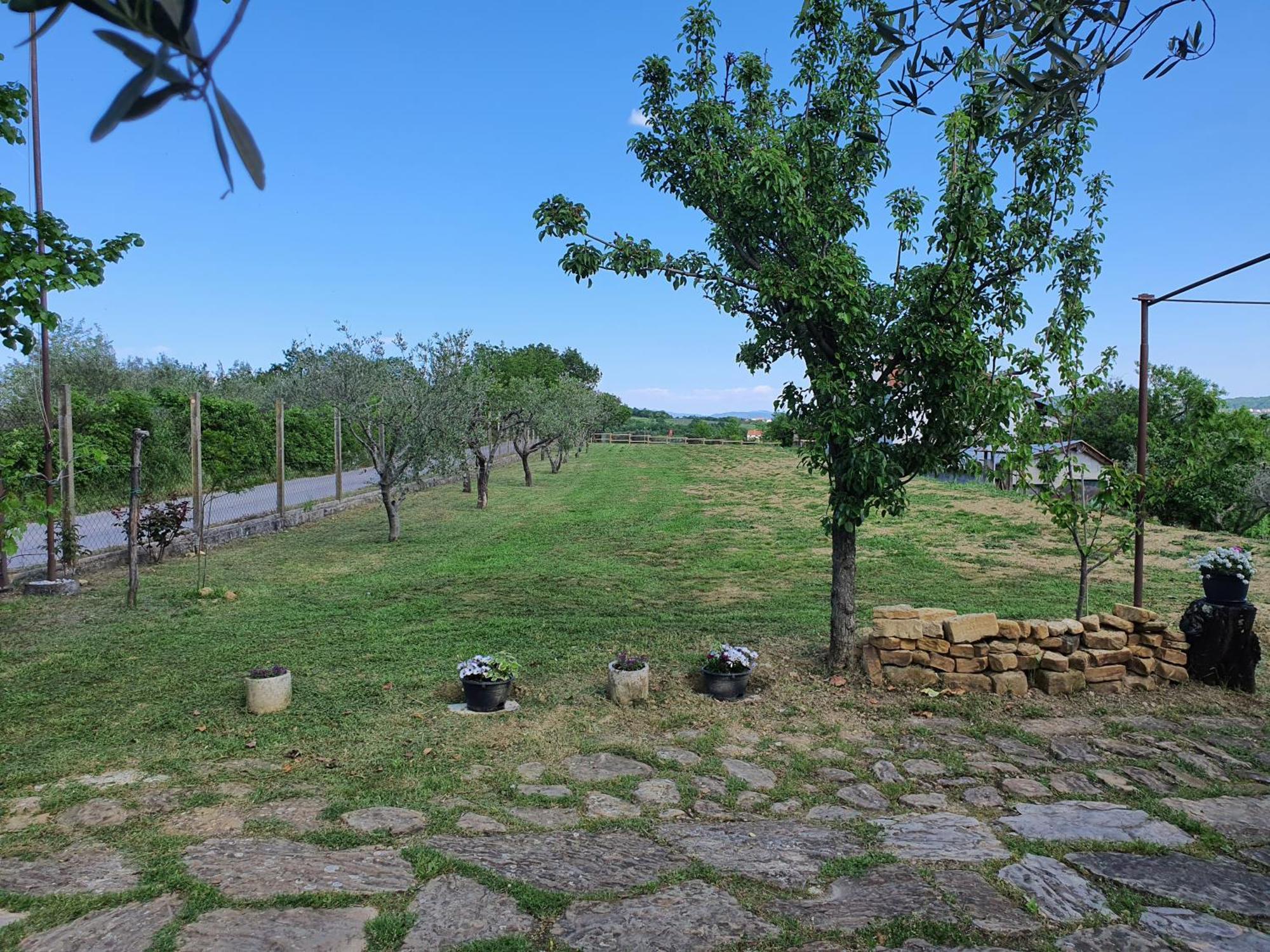 Apartma Vista Baredi Izola Exteriér fotografie
